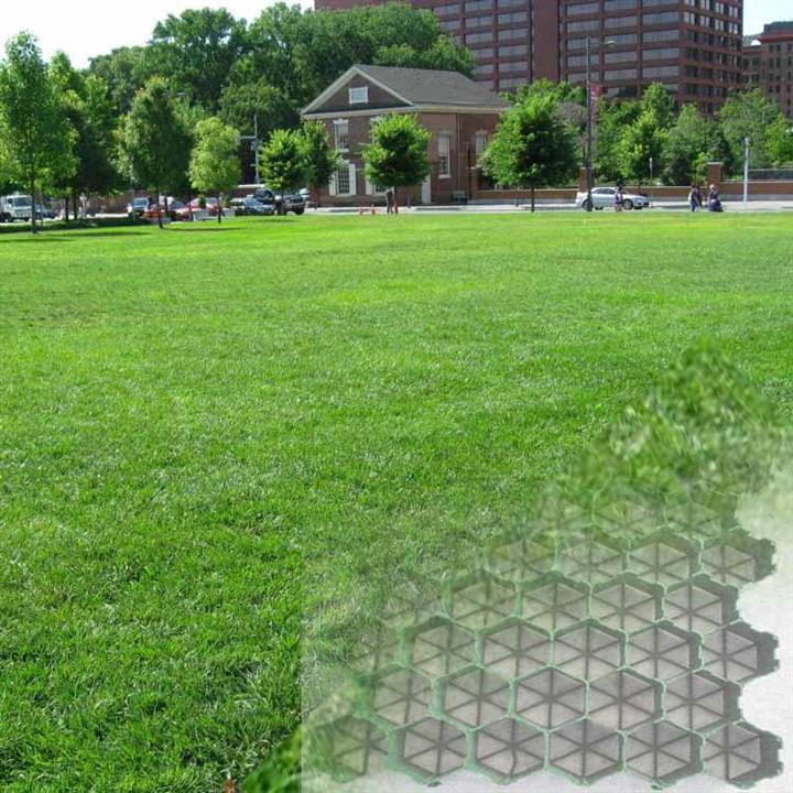  Plastic Grass Grid